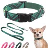 DILLYBUD Small Dog Collar and Leash Set, Dog Collars for