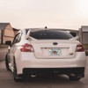 Fastasticdeals Metal Insert License Plate Frame Sea Bass Weatherproof Car