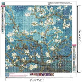 YSCOLOR Diamond Painting Van Gogh Flower DIY Diamond Embroidery Hand Round 3D Diamond Painting Fashion Home Decor Cross Stitch Painting 30 x 30 cm