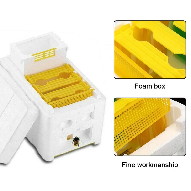 TOMVAES Bee Hive Box Bee Box Single Layer Foam Box