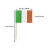 100PCS Ireland Toothpick Flag Irish Mini Small Cupcake Topper Flags
