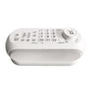 SaiEL Handheld Speaker with Remote Control Function, Easy Charging, Just