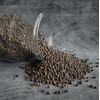 Bambi Black Peppercorns Whole 500g | Grinder Refill (500g)