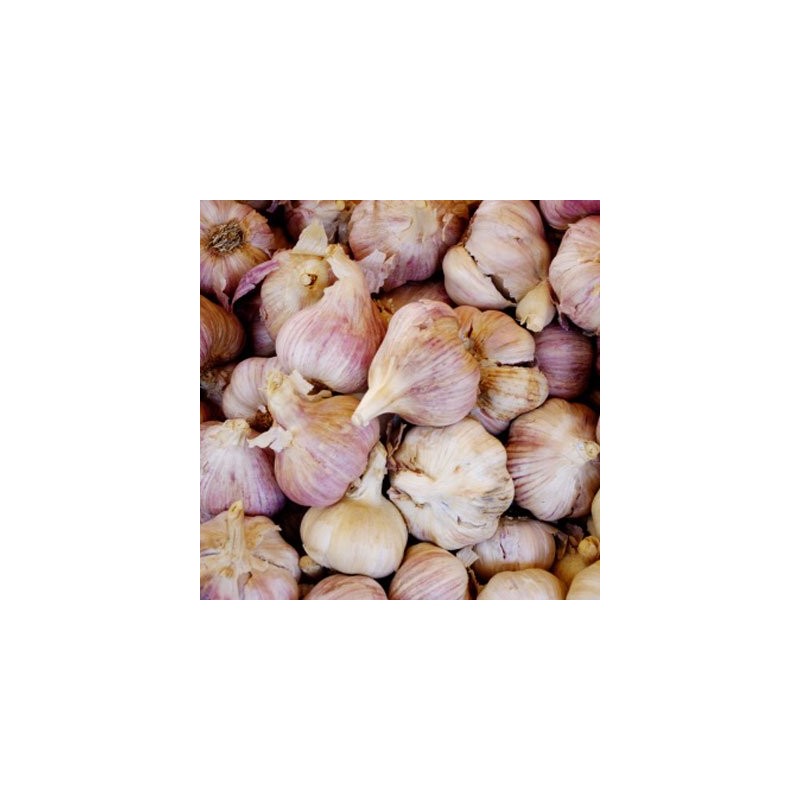 Fresh Ginger, Garlic and Shallot Set