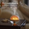 Preserved Flower Portable Humidifier,270ml Capacity,Rechargeable Essential Oil Diffuser with Night