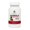 Acerola Extract 500 mg 60 Capsules - Pure Natural Vitamin