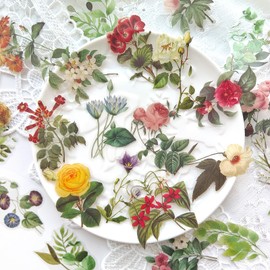 Ychsring Botanical Floral Stickers Set - 120 Pcs Clear PET Vintage Flower Stickers for Scrapbooking, Journaling, Junk Journal - Waterproof Transparent Nature Plant for Crafts, Scrapbook Supplies