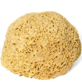 Badeschwamm und Duschschwamm Natur