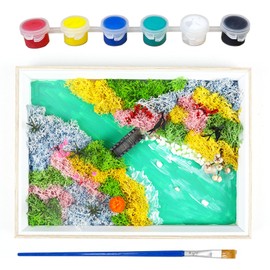 Woohome Mini Zen Garden Kit, Micro Landscape DIY Painting, Moss Painting DIY with Rectangle Painting Frame, Moss, Garden Kit for Photo Frame Decoration, Home Desktop Decor, River