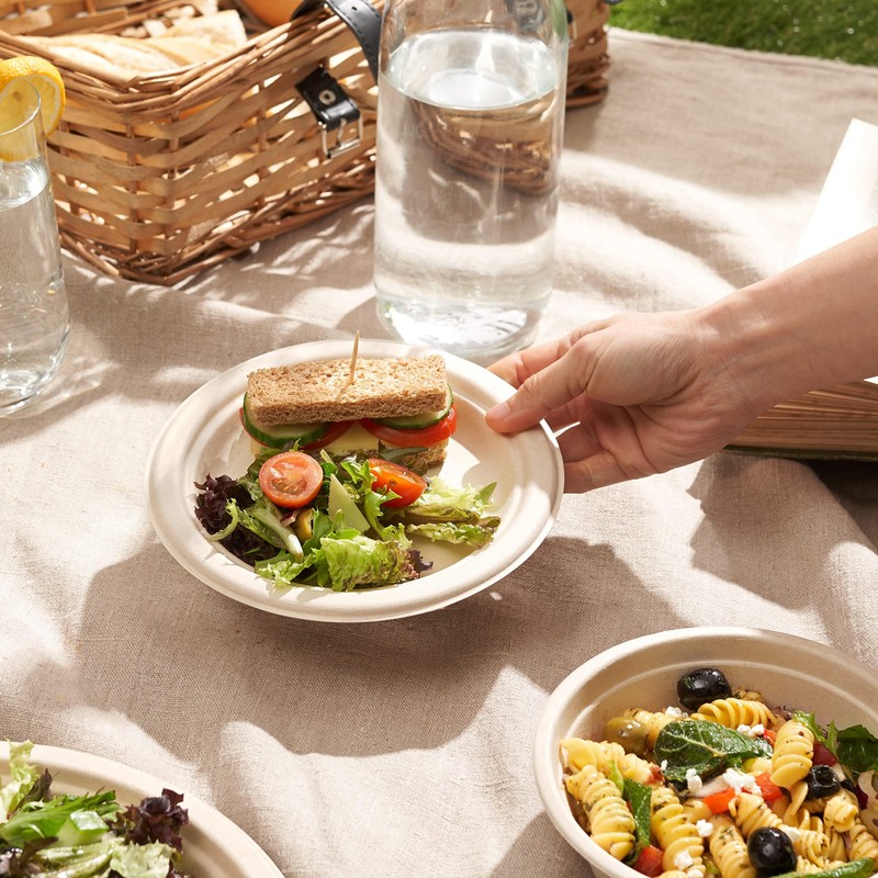 HAAGO Sugarcane Bagasse Disposable Plates for Birthdays, Weddings, Parties -