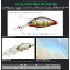 Issei Issey G.C. Kanehira Shad 46MR-SP #07 Kinkro Bass Lure