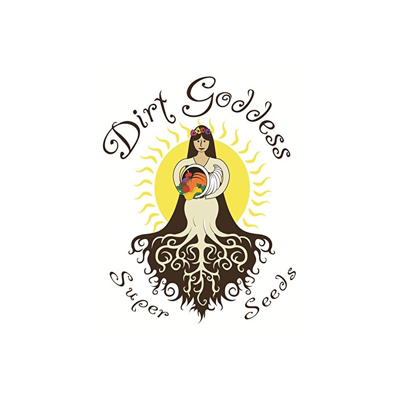 Dirt Goddess Super Seeds ~ Four O'Clock Mix Flower Seeds