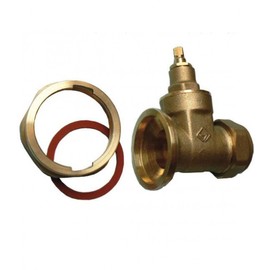 22mm Gate Type Pump Valve