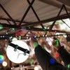 120 Pcs Christmas Light Clips Outdoor Hang Plastic Hook, Green