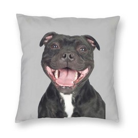 Funny Staffordshire Bull Terrier Cushion Cover Staffie Laughing Staffy Dog Throw Pillow Case 18X18 Inch Novelty Dogs Puppy Gifts Home Decor
