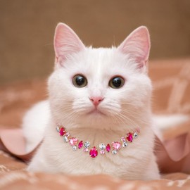Hpmjz Pink Chain Dog Collar Bling Diamonds Cat Necklace Crystal Glitter Dog Chain Adjustable Rhinestone Collar for Small Medium Pets Cats Dogs Kitten Puppy Cute Dazzling