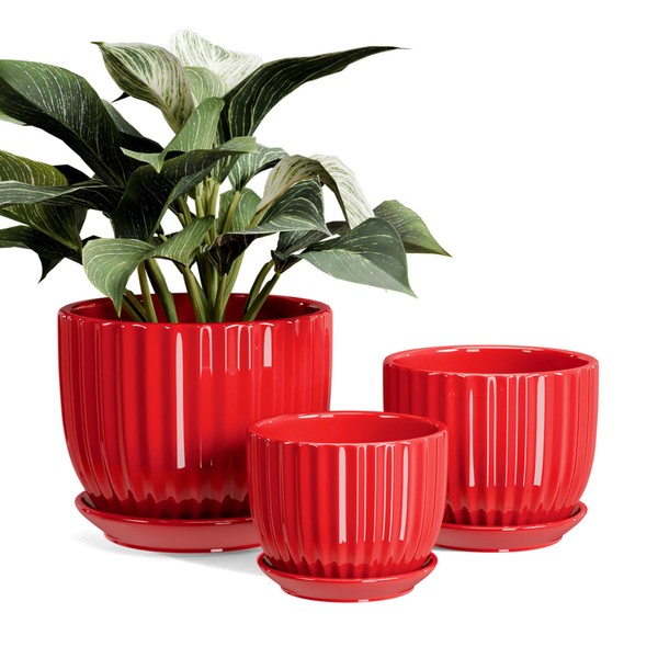 Ton Sin Ceramic Plant Pots - 4/5/6 Inch Red Planters