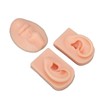 3D Nose and Mouth Model Silicone Ear Model Simulation Display