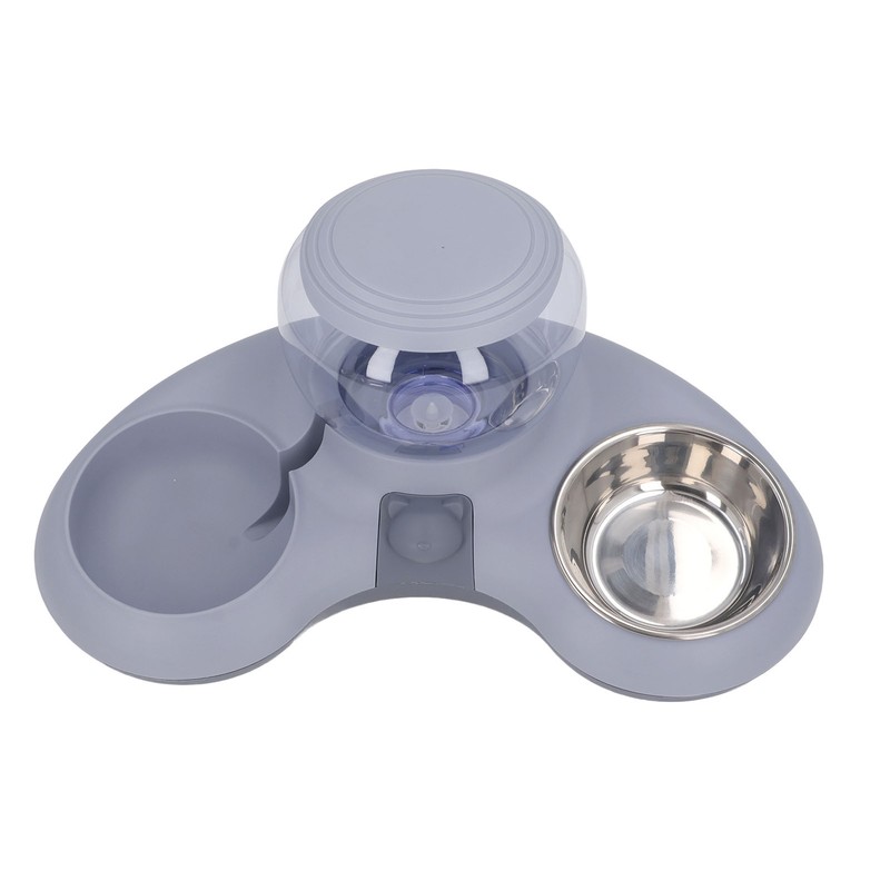 Double Cat Bowls Pet Food and Water Bowl Set Tilted