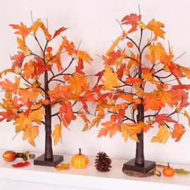 2 Pack 24 Inch Fall Maple Tree with 48LED Battery Operated Lighted Tabletop Artificial Tree with Pumpkin Acorn Maple Fall Centerpieces Indoor Fall Decorations for Home Office Thanksgiving Table Decor