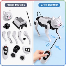 DIY Remote Control Robot Pet for Kids – Buildable Walking Dog or Cat Toy for STEM Play & Family Activities