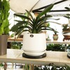 8" Bonsai Turntable Heavy Duty Rotating Garden Swivel Stand for
