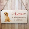 Second Ave Labrador Dog Wooden Hanging Gift Rectangle Home Sign