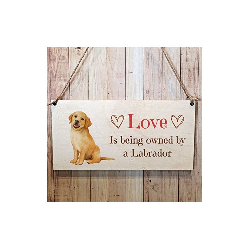 Second Ave Labrador Dog Wooden Hanging Gift Rectangle Home Sign