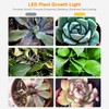 LED Growth Light Strips for Indoor Plants Pink-purple LEDs Grow