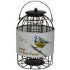 Green Jem BF16 Dome Caged Fat Ball Wild Bird Feeder,