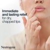 Neutrogena Norwegian Formula SPF 20 Lip Balm (4.8g), Lipcare to