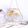 C&Z Hanging Wall Glass Frame for Pressed Flowers Dried Leaf