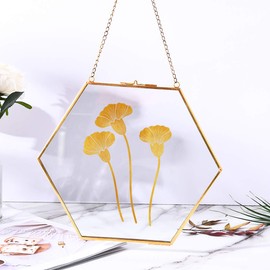 C&Z Hanging Wall Glass Frame for Pressed Flowers Dried Leaf Plants Gold Hexagon Shaped Double Side Glass Floating Frame for Artwork Specimen Clip Wall Decor Large