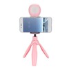 Selfie Fill Light with Cell Phone Holder Stand, Foldable Live