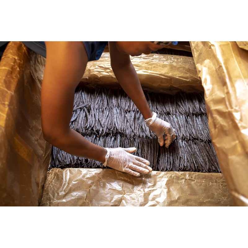 25 Premium Vanilla Beans Grade B - Whole Non GMO