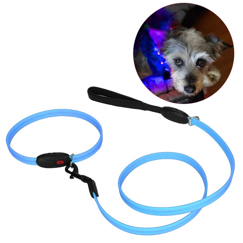 Outdoor Dog LED Collars with Leashes Set USB Rechargeable Pet