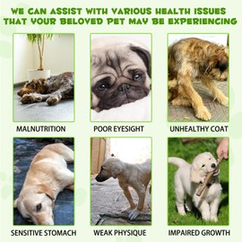 3-in-1 Probiotics for Dogs with Digestive Enzymes & Prebiotics – Supports Gut Health, Immune System & Diarrhea Relief – 60ml for Puppies & Adults