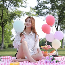 Foldable Picnic Mat (Red Check) G