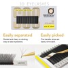 SEEDEW 3D Lash Extensions, 0.10mm D Curl MIX8-15mm 12 Rows/Tray,
