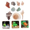 BESPORTBLE Sturdy Hermit Crab Shell Aquarium Ornament 9pcs Pack of