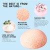 8Pcs Konjac Sponge Set Konjac Wash Face Flutter Natural Facial