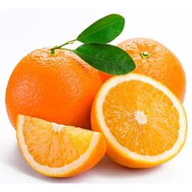 Orange Seeds for Planting 40 Pcs
