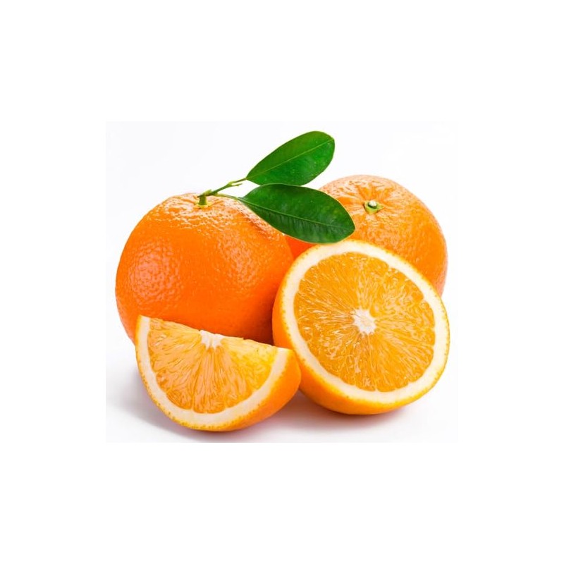 Orange Seeds for Planting 40 Pcs