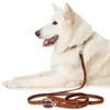 HUNTER Leash Solid Education, 16/150 Soft genuine cow leather, cognac