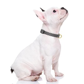 Rnivvi Dog Collar, Adjustable Nylon Dog Collar for Small Dogs, Cute Puppy Collar for Boy and Girl Female Dogs, Soft Heavy Duty Pet Collars with Quick Release Buckle for Walking Running, Black Star