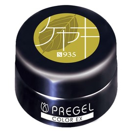 PRE GEL Color EX Zelkova 0.1 oz (3 g) PG-CE935 UV/LED Compatible