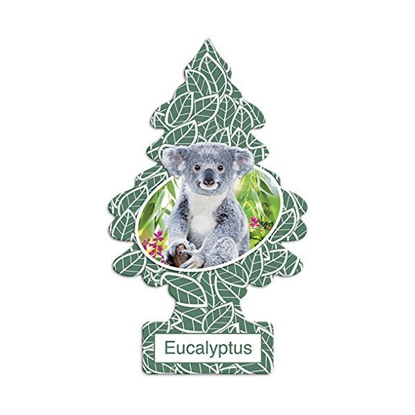 Little Trees Eucalyptus Air Freshener (Pack of 12)