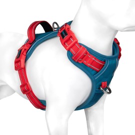PHOEPET No Pull Dog Vest Harness with Unique Colors，Adjustable Reflective No-Choke Pet Harness with Easy Control Handle and Metal Clips for Small Medium Large Dogs（Teal Base & Red Straps，L)