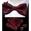 DiBanGu Silk Black and Red Paisley Pre-Tied Bowtie Adjustable Bowtie
