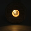 Wood Light Display Base 360 Degree Rotation Beech Grain Colorful